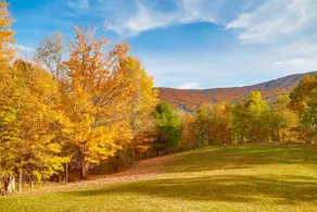 'The Mountain House:' Windham Retreat w/ Hot Tub! - Image 3