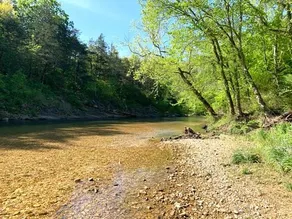 Cabin-ette at the Creek ~ a Tiny Ozark Getaway - Image 2