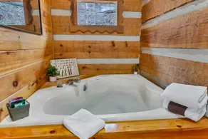 Wildwood Cottage-Romantic w Hot Tub, pool and more - Image 3