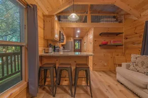 Celina Cabin Private Spa, Firepit, wooded retreat - Image 4
