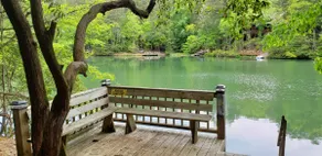 Private Hot Tub! ‘Cherry Beary Den’ in Blue Ridge - Image 3