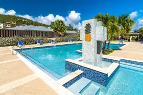 Pineapple Village 3800 in St. Thomas - Image 2