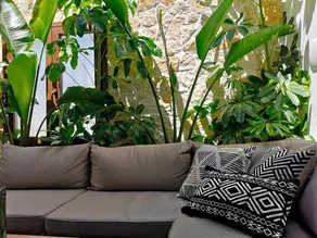 Casa Rural Albireo, full of light and nature. - Image 4