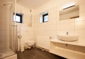 4520 Alpin 20 - Image 4