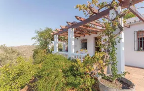 Casa Lola - Image 4