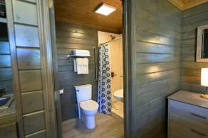 Serene cabin, relax and recharge! Great Internet! - Image 5