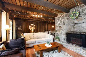 Nature Lover's Delight + Kitchen +  Cozy Fireplace - Image 2