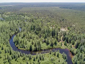 Hazel's Goose Creek Lodge - Private Riverfront! - Image 5