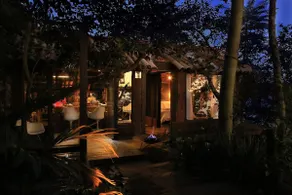 Lakefront Tree Microhouse with Incredible View - Image 2