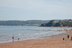 3 Goodrington Lodge, Paignton - Image 5