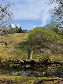 Cae'r Blaidd Country House - Image 3
