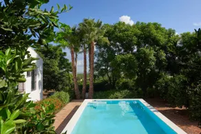 Hort de Rossell, Alzira (Valencia), Spain - Image 3