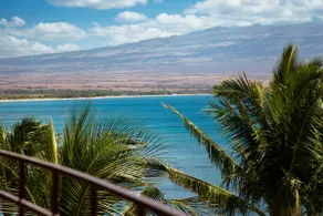 Maui Spacious Ocean Front: Amazing Sea Turtle Views *Island Sands 606* - Image 4
