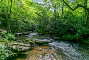 Hot Tub + Views! Creekside Blue Ridge Mtn Escape - Image 4