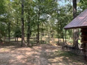 Willow's Cabin - Cozy Cabin Nestled In The Woods - Image 5