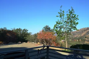 In The Oaks - Image 3