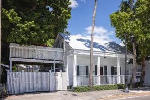 Southern Palms - Image 5