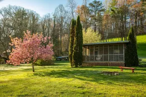 Cozy fishing cabin on the South Holston River - Image 4