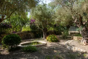 Son Moix - Image 5