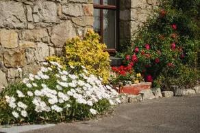 Creevy Pier: Failte Ireland Approved Cottage:Moor - Image 4
