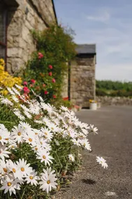 Creevy Pier: Failte Ireland Approved Cottage:Moor - Image 3