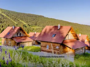 Beautiful vacation home with sauna on the wine plain - Image 4