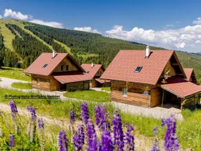 Beautiful vacation home with sauna on the wine plain - Image 3