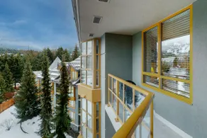 Secluded 1BR/Walk to Lifts/Hot Tub/Park Free/Pets - Image 2