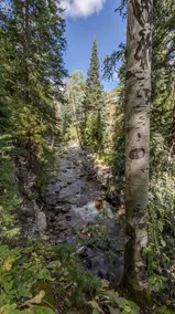 Mountain Getaway • Gorgeous Views • Hiking Nearby - Image 3