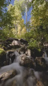 Mountain Getaway • Gorgeous Views • Hiking Nearby - Image 2