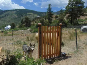 Hot Tub • Dog Friendly • Mountain Views - Image 2