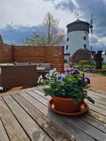 Tinyhouse Igluhut Mill - Image 5