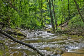 Updated Mtn Cabin on 20 Acres w/ Large Waterfall - Image 2