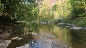 Downtown River Retreat, Walk to Shops and College - Image 3