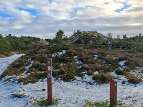 6 person holiday home in Rømø - Image 4