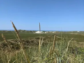 5 person holiday home in hvide sande - Image 4
