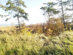 6 persone case ad Hadsund-By Traum - Image 4