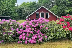 6 person holiday home in Toftlund - Image 4