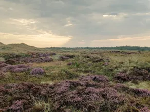 Strandparadies in albaek -- By Traum Ferienwohnungen - Image 4