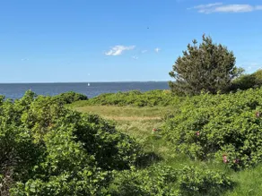 2 person holiday home in Tarm - Image 4