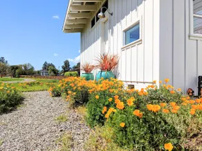 Sonoma-Napa Wine Country Retreat Surrounded By Vineyards, Views, & Privacy - Image 4