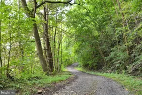 Caretaker's Cottage: 4 BR Pet Friendly River View - Image 4