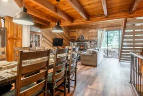 Pet & Family-Friendly Mountain Condo 480 - Image 3