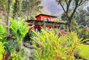 Lake Front Paradise-Nature & Mayan Culture Collide - Image 3
