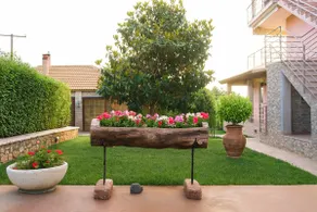 Seaview flat in an olive grove by the sandy beach - Image 2