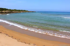Seaview flat in an olive grove by the sandy beach - Image 5