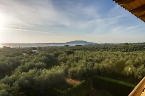 Seaview flat in an olive grove by the sandy beach - Image 3