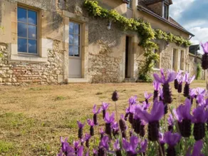 Bazouges-sur-le-Loir Gîte, 5 rooms, 8 pers. - Image 2