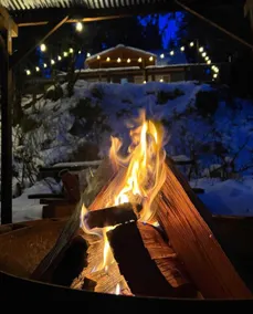 Rusty Bridge River Lodge | Hot Tub & Barrel Sauna - Image 5