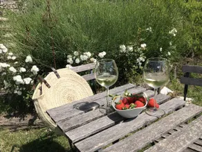 BnB Borgo le Vigne - La Vendemmia Only Adults - Image 5